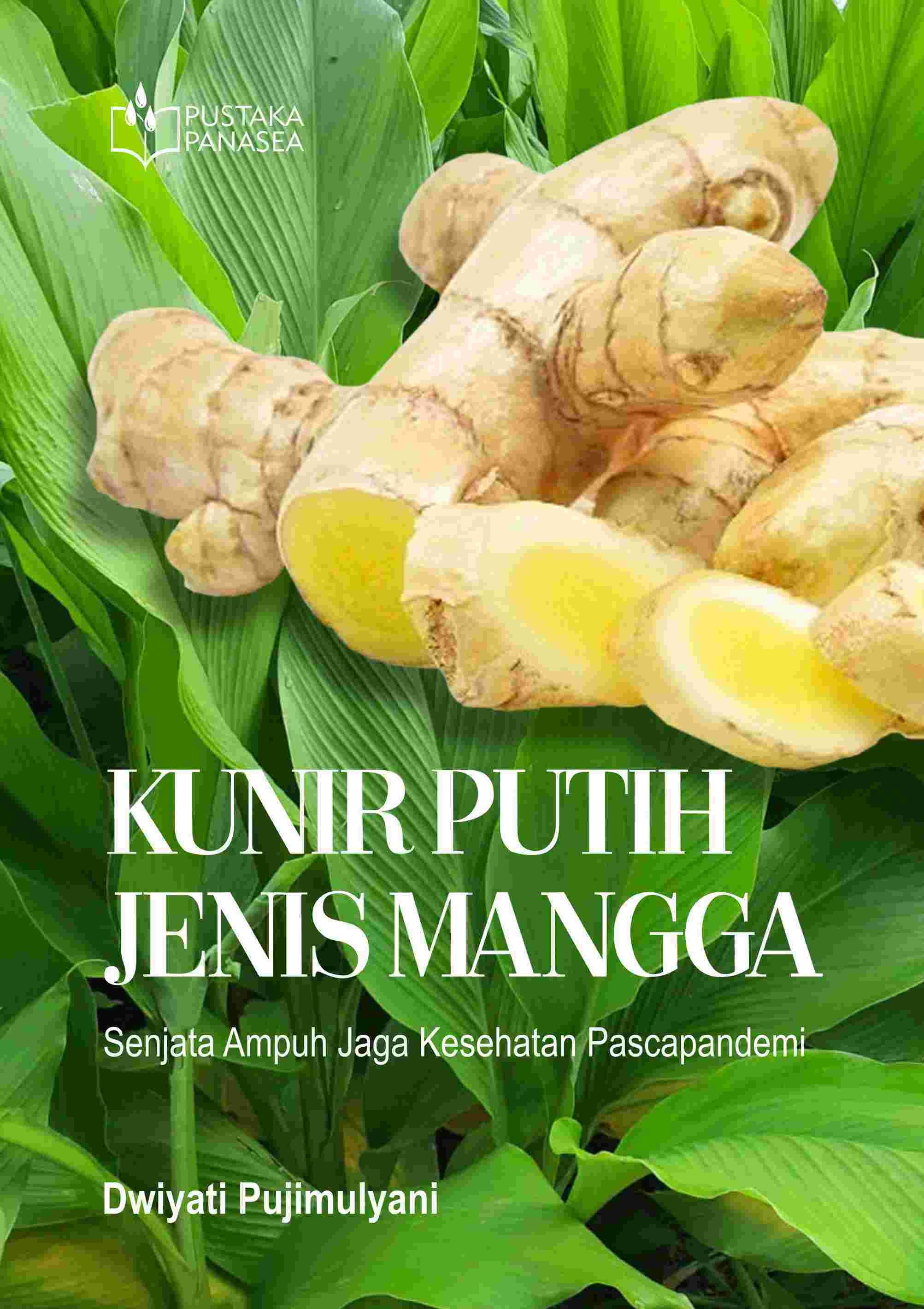 Kunir Putih Jenis Mangga; Senjata Ampuh Jaga Kesehatan Pascapandemi