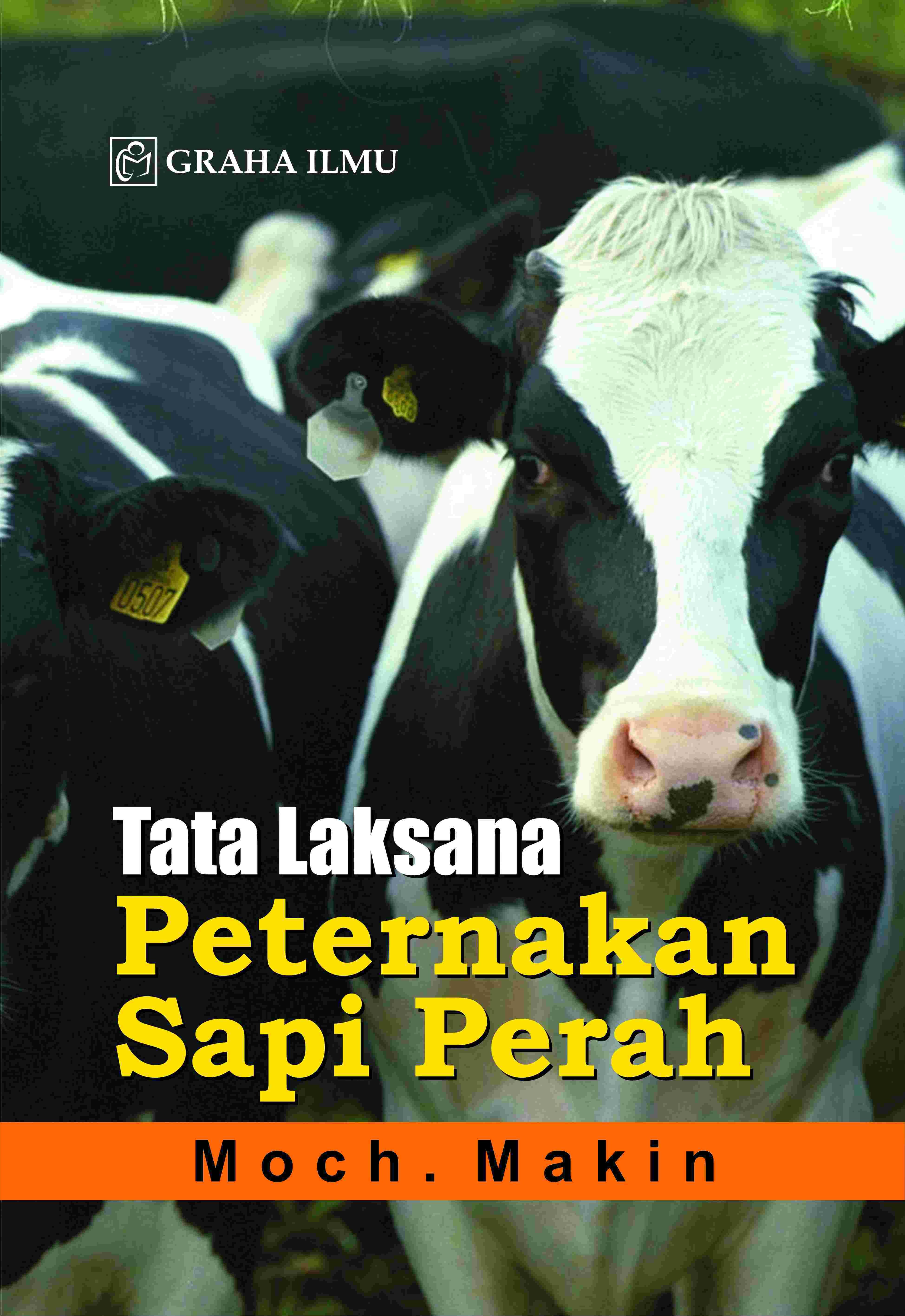Tata Laksana Peternakan Sapi Perah