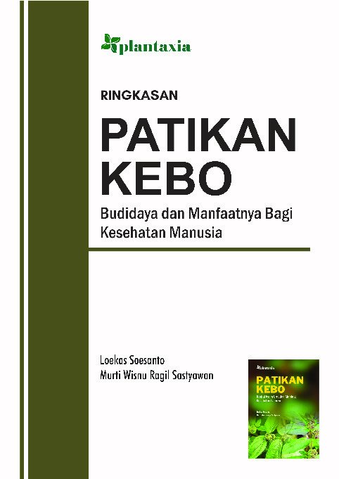 Patikan Kebo; Herbal Asam Urat dan Manfaat Kesehatan Lainnya